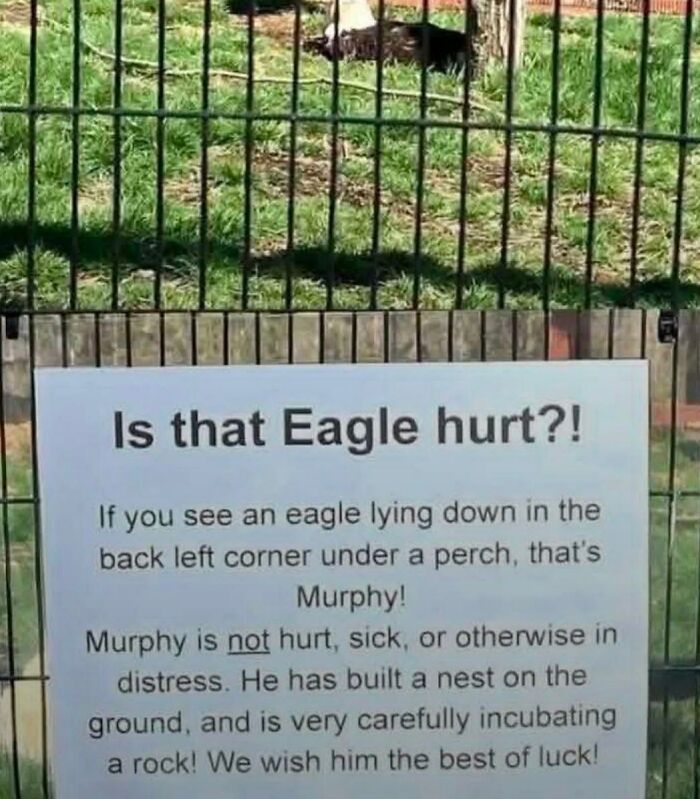 Say What?! The 84 Weirdest Signs That’ll Totally Make You Do a Double Take