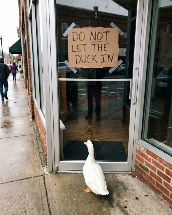 Say What?! The 84 Weirdest Signs That’ll Totally Make You Do a Double Take