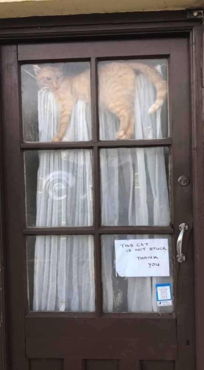 Say What?! The 84 Weirdest Signs That’ll Totally Make You Do a Double Take