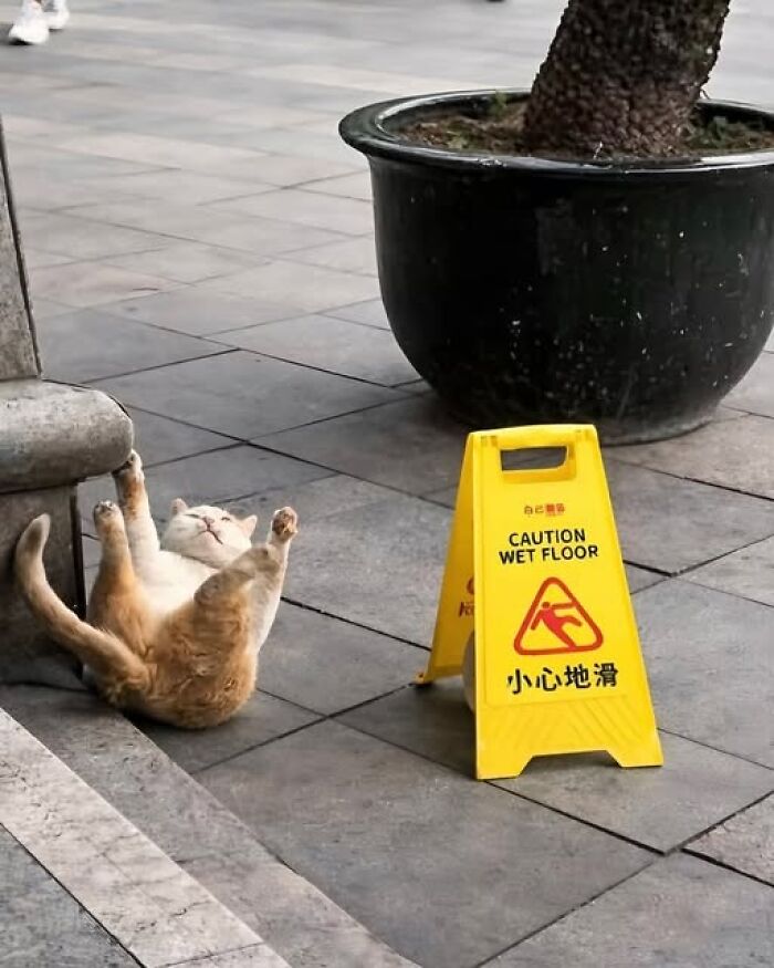 Say What?! The 84 Weirdest Signs That’ll Totally Make You Do a Double Take