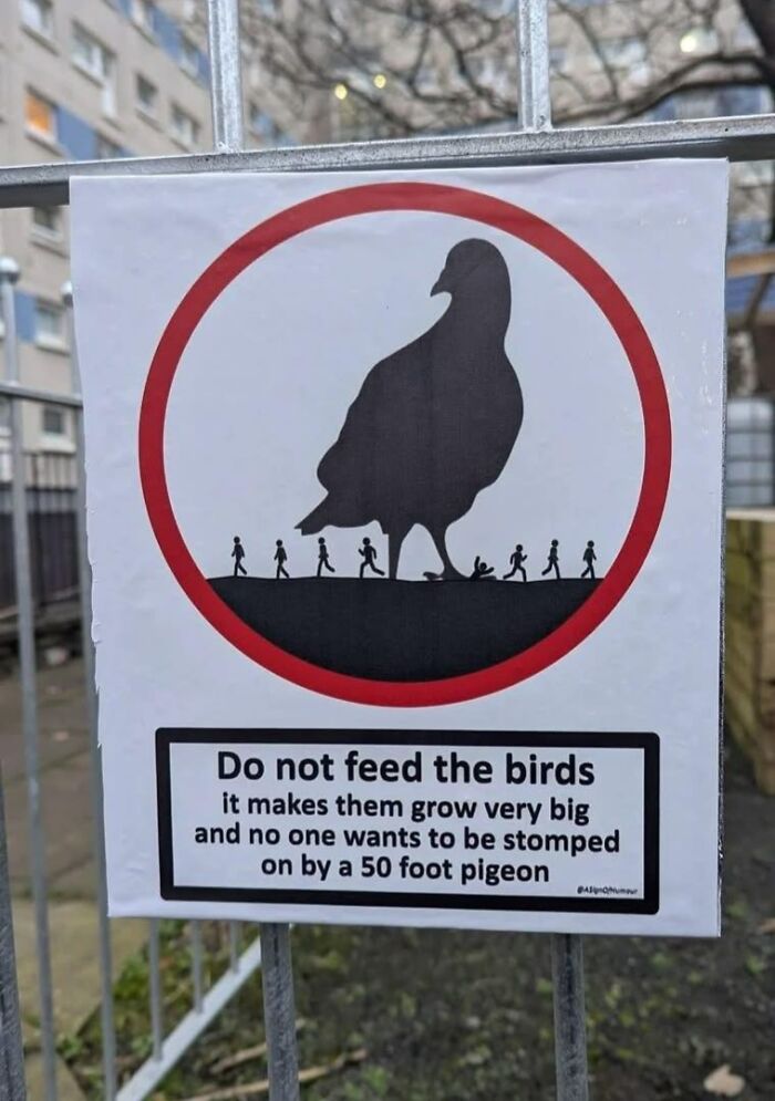 Say What?! The 84 Weirdest Signs That’ll Totally Make You Do a Double Take