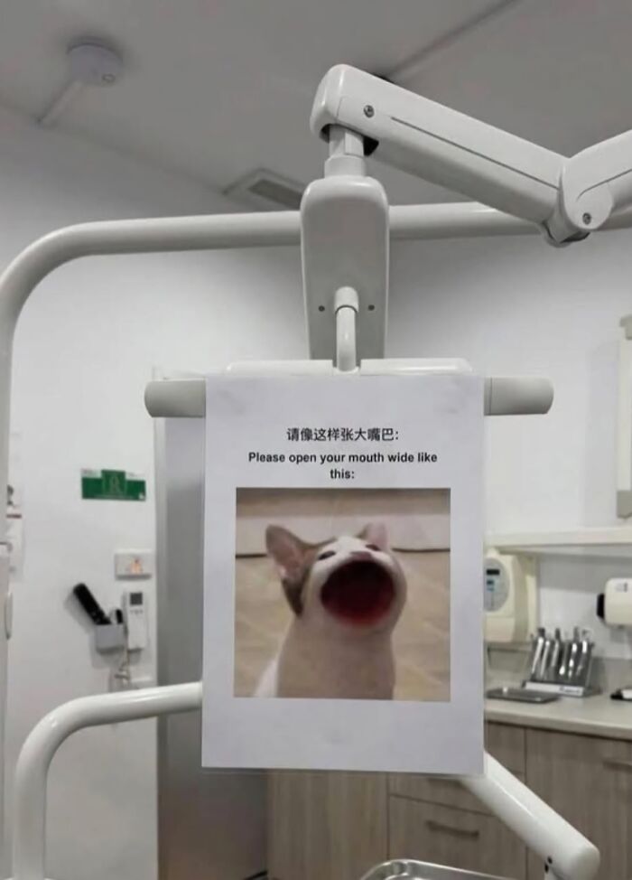 Say What?! The 84 Weirdest Signs That’ll Totally Make You Do a Double Take
