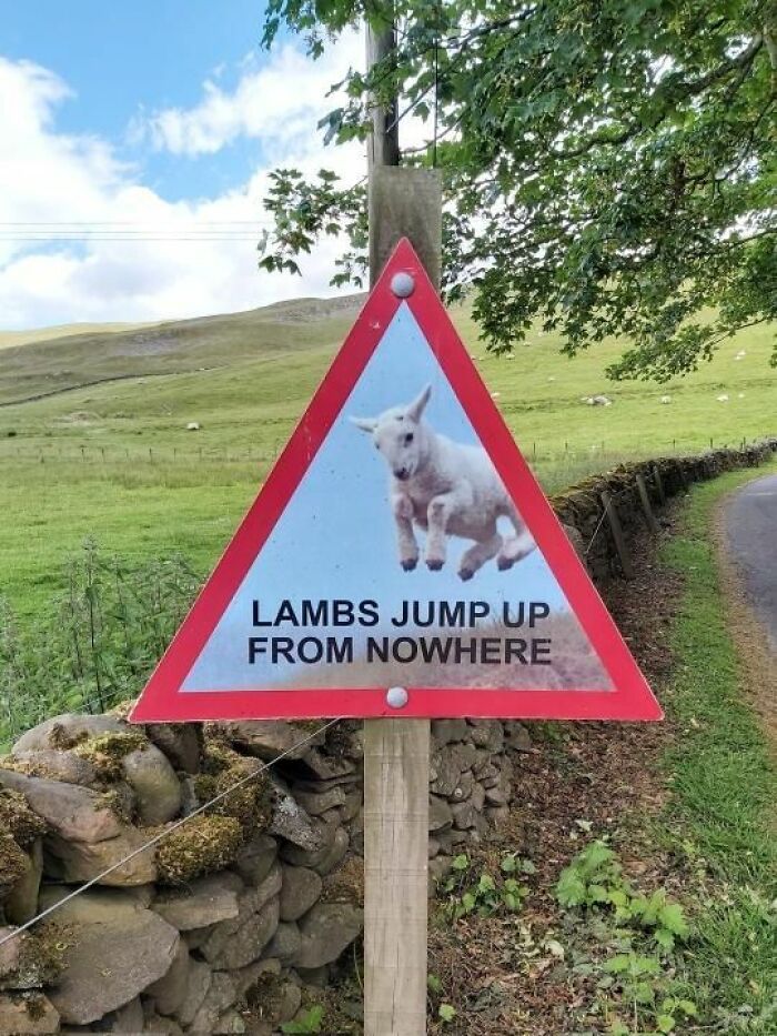 Say What?! The 84 Weirdest Signs That’ll Totally Make You Do a Double Take