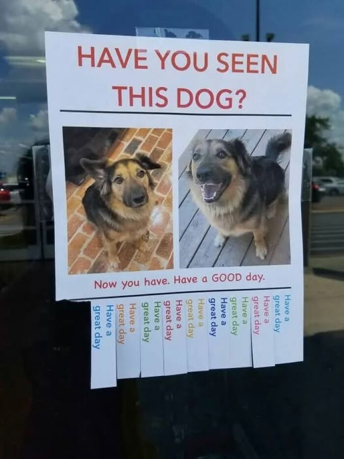 Say What?! The 84 Weirdest Signs That’ll Totally Make You Do a Double Take