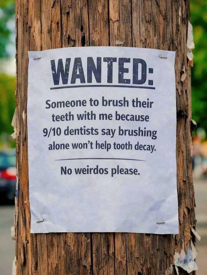 Say What?! The 84 Weirdest Signs That’ll Totally Make You Do a Double Take