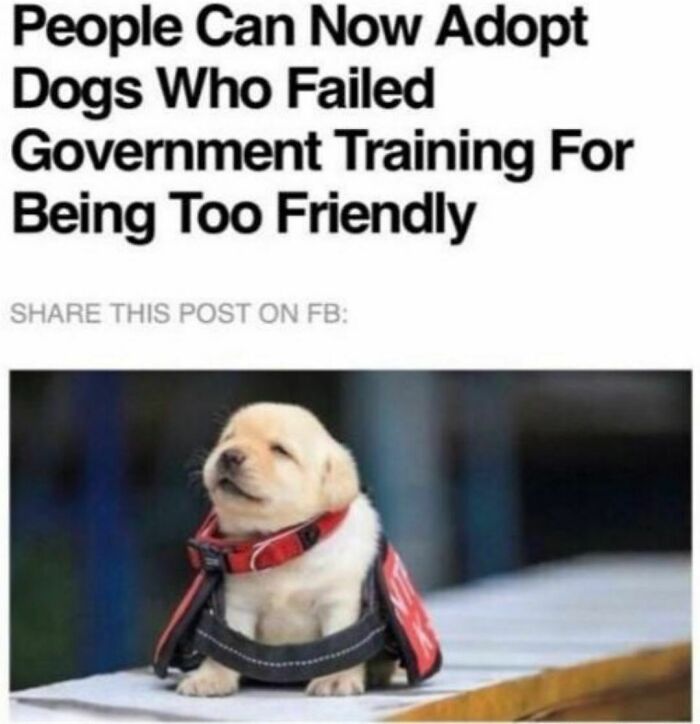 I’ll Take It All, Please!