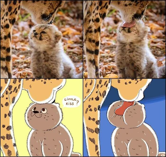 He Just Wanted A Tiny One