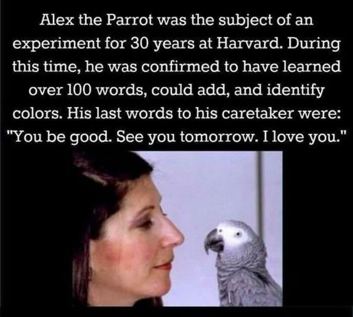 Wholesome But A Little Bit Sad