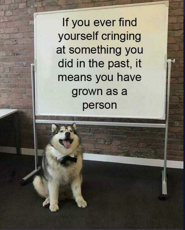 Just In Case You Need Some Sunshine