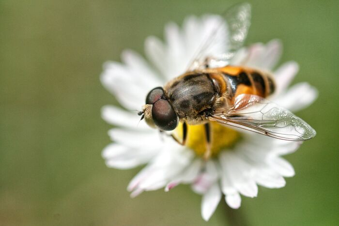 47 Weirdly Awesome Facts That Somehow Stuck in Our Brains