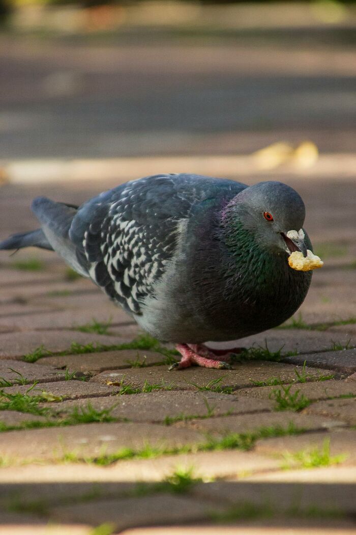 47 Weirdly Awesome Facts That Somehow Stuck in Our Brains