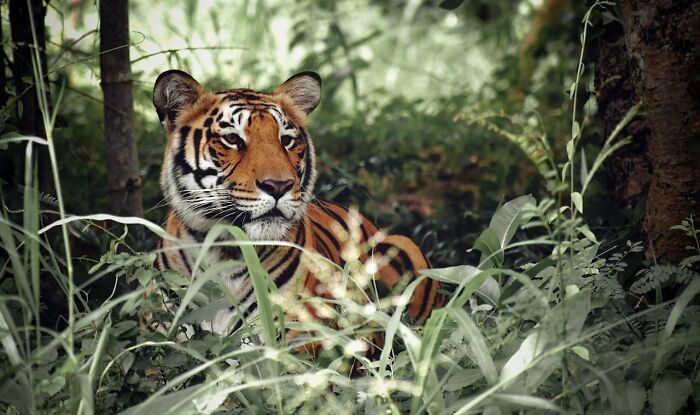 47 Weirdly Awesome Facts That Somehow Stuck in Our Brains