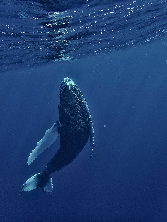 47 Weirdly Awesome Facts That Somehow Stuck in Our Brains