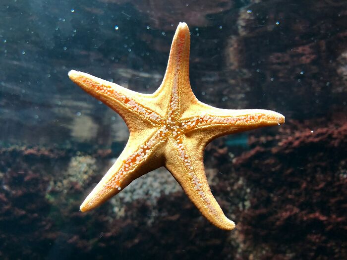 47 Weirdly Awesome Facts That Somehow Stuck in Our Brains