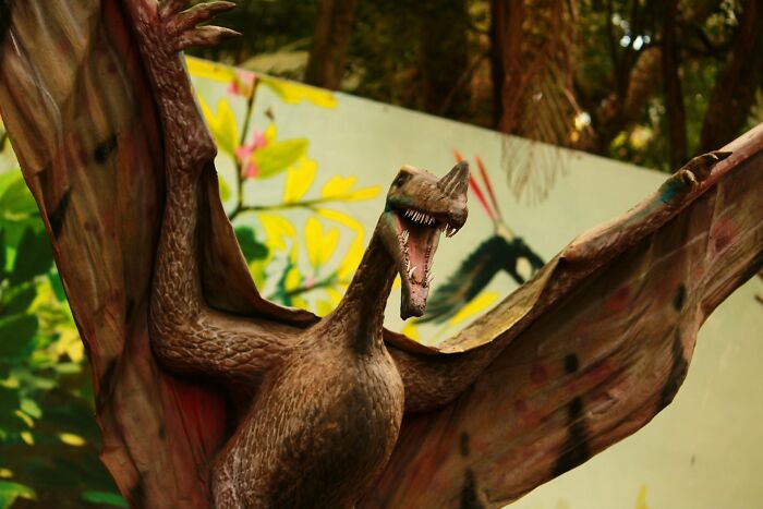 47 Weirdly Awesome Facts That Somehow Stuck in Our Brains