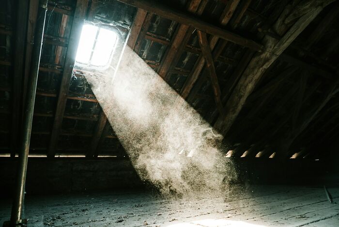 47 Weirdly Awesome Facts That Somehow Stuck in Our Brains