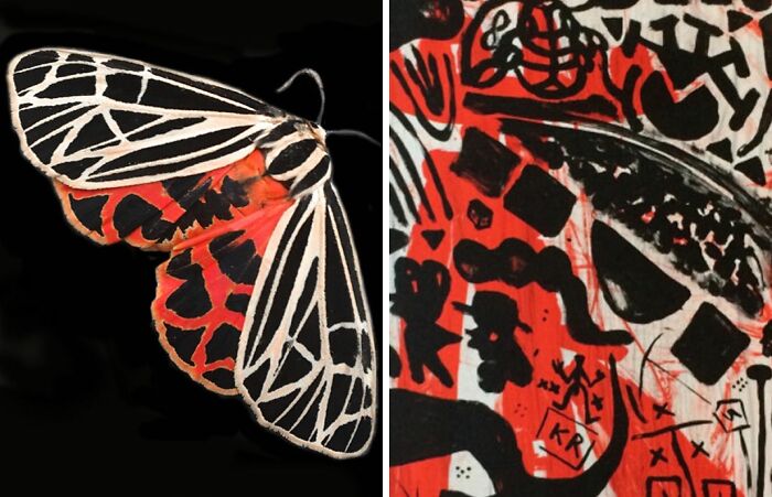 Whoa! Nature's Sneaky Copycats – 75 Collages That'll Make You Do a Double Take