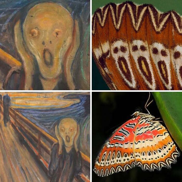 Whoa! Nature's Sneaky Copycats – 75 Collages That'll Make You Do a Double Take
