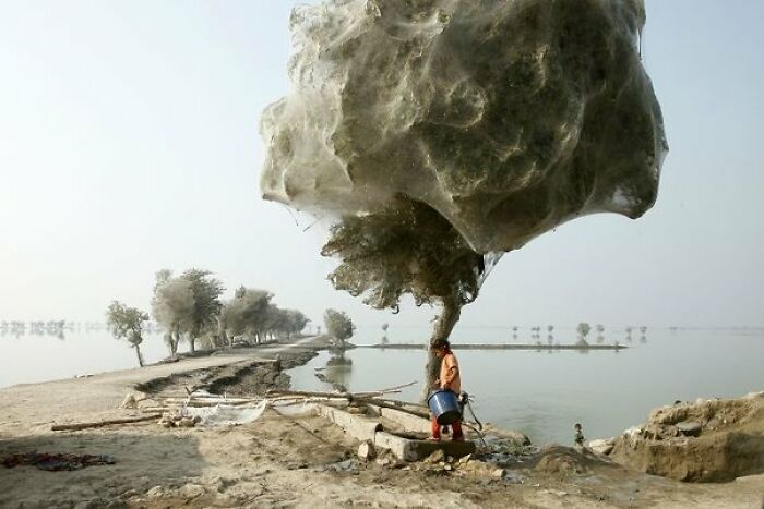 37 Photos That Look Normal—Till You Spot the Weirdness