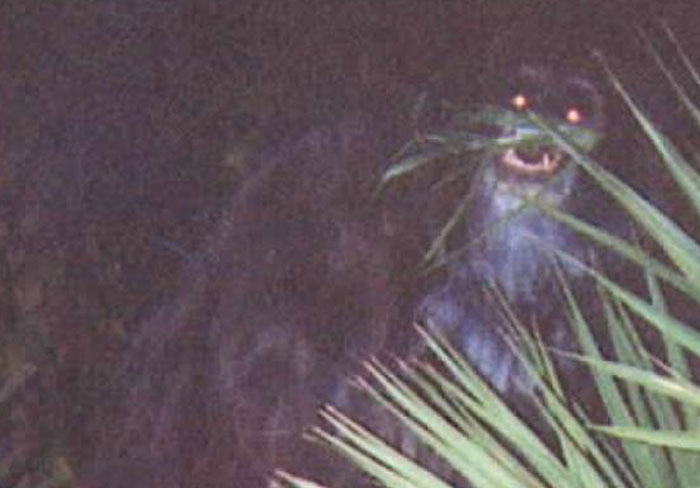 37 Photos That Look Normal—Till You Spot the Weirdness