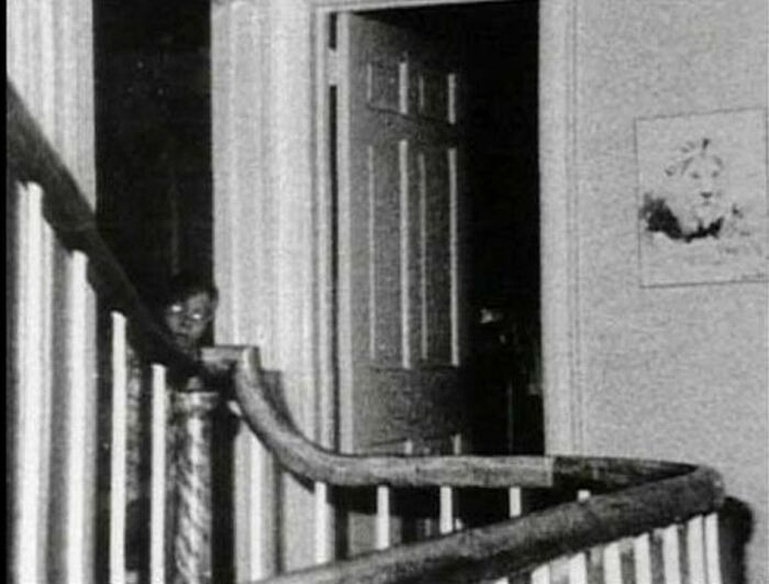 37 Photos That Look Normal—Till You Spot the Weirdness