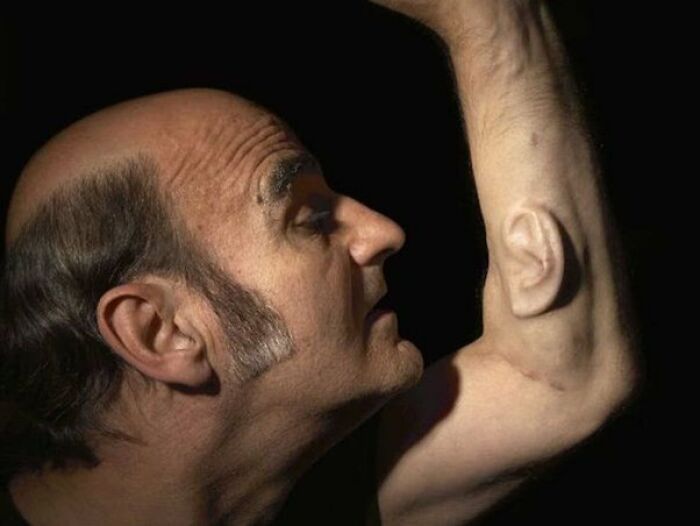 37 Photos That Look Normal—Till You Spot the Weirdness