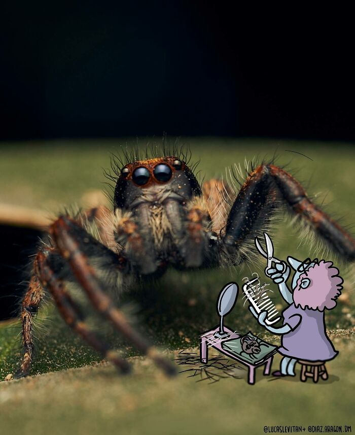 Wait, This Artist Is Drawing Cartoon Magic Right on Strangers’ Photos?! (27 Epic Pics)