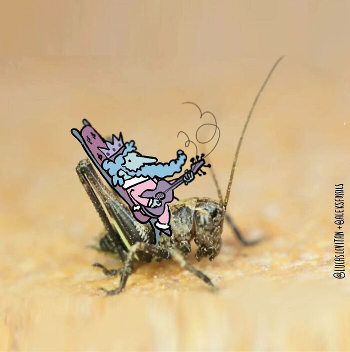 Wait, This Artist Is Drawing Cartoon Magic Right on Strangers’ Photos?! (27 Epic Pics)