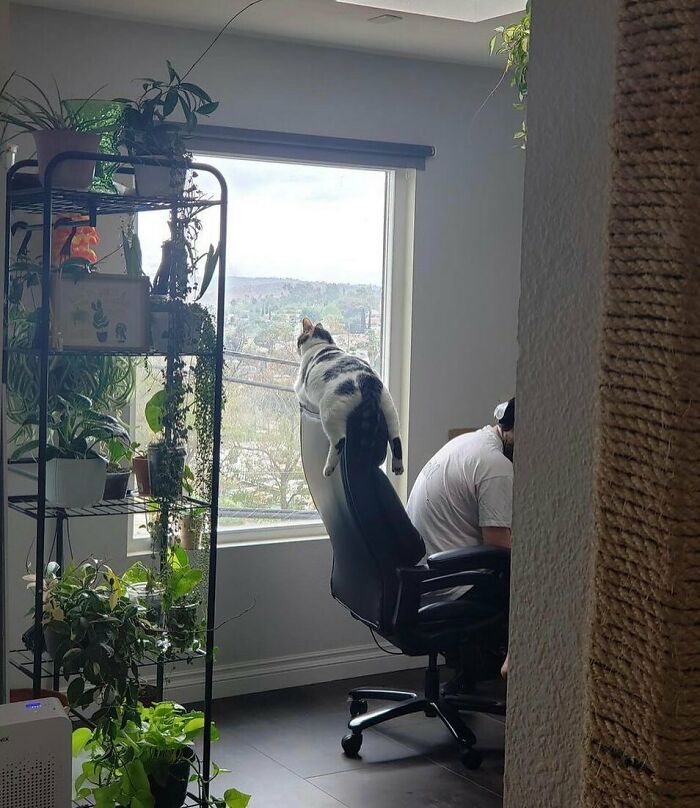 Wait Till You See These Animals Doing Stuff That’s So Weird, You’ll Blink Twice!
