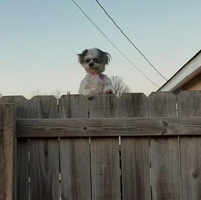Wait Till You See These Animals Doing Stuff That’s So Weird, You’ll Blink Twice!