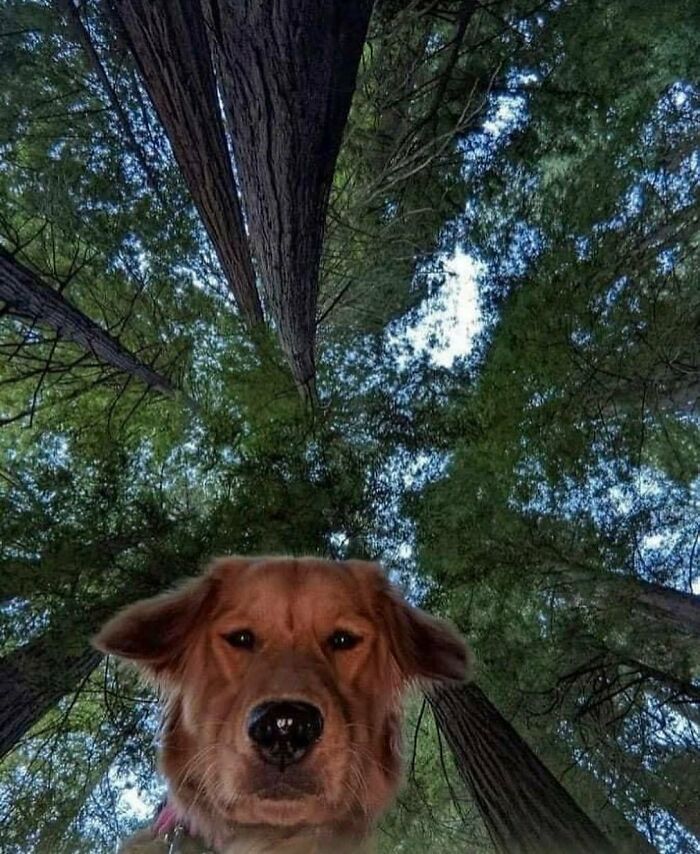 Wait Till You See These Animals Doing Stuff That’s So Weird, You’ll Blink Twice!