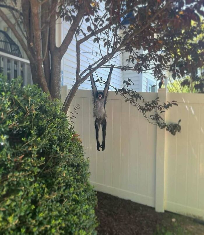 Wait Till You See These Animals Doing Stuff That’s So Weird, You’ll Blink Twice!