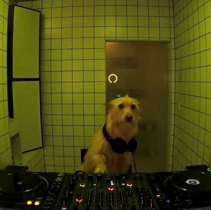 Wait Till You See These Animals Doing Stuff That’s So Weird, You’ll Blink Twice!