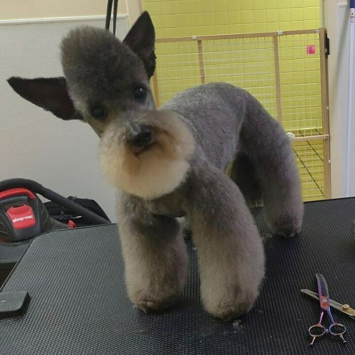 Wait Till You See These Animals Doing Stuff That’s So Weird, You’ll Blink Twice!