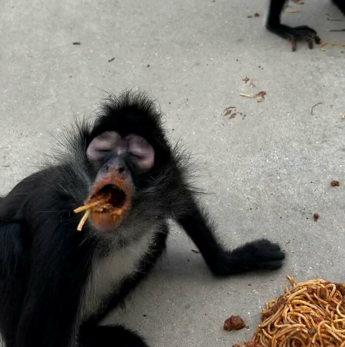 Wait Till You See These Animals Doing Stuff That’s So Weird, You’ll Blink Twice!