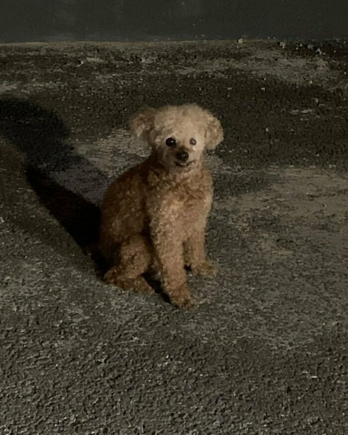 Wait Till You See These Animals Doing Stuff That’s So Weird, You’ll Blink Twice!
