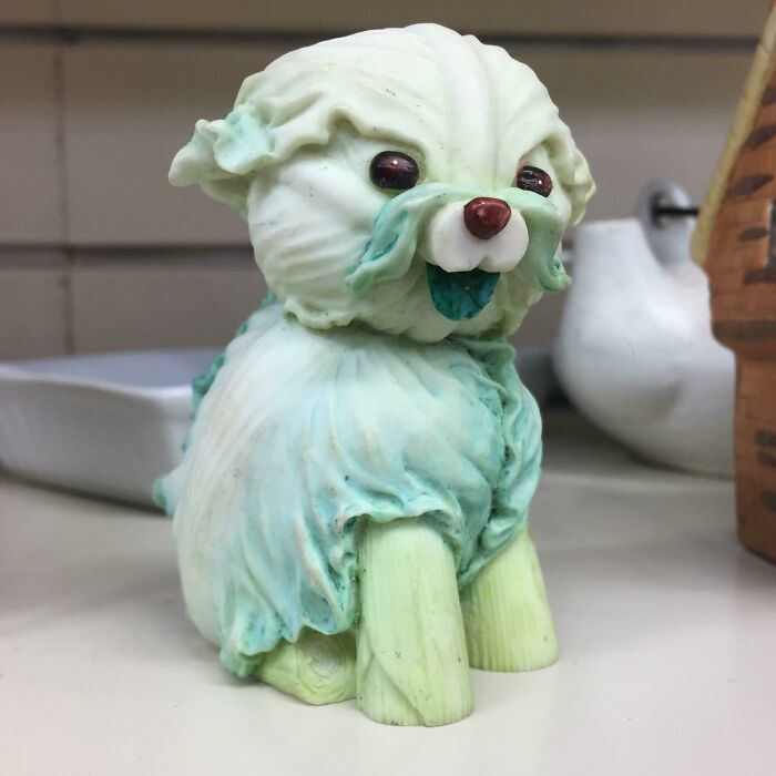 Meet The Cabbage Dog: The Furriest Veggie You Didn’t Know You Needed