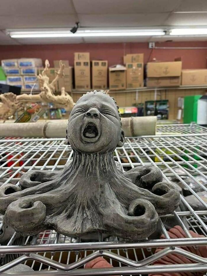 The 65 Weirdest Garage Sale Finds That’ll Make You Do A Double Take