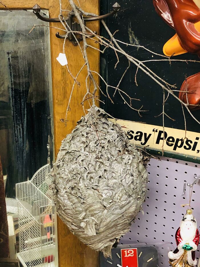 The 65 Weirdest Garage Sale Finds That’ll Make You Do A Double Take