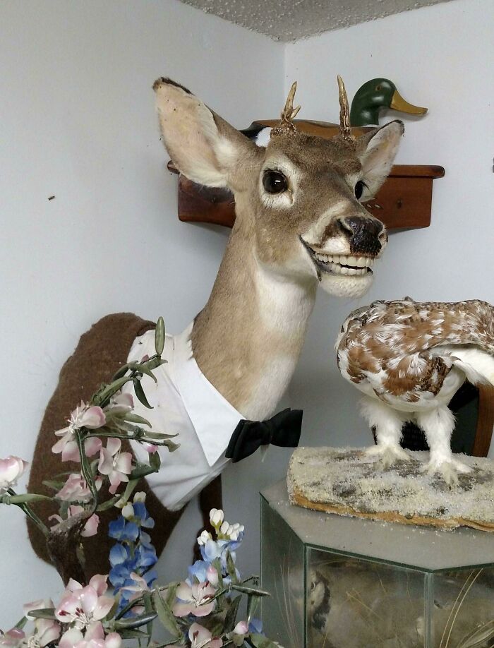 The 65 Weirdest Garage Sale Finds That’ll Make You Do A Double Take