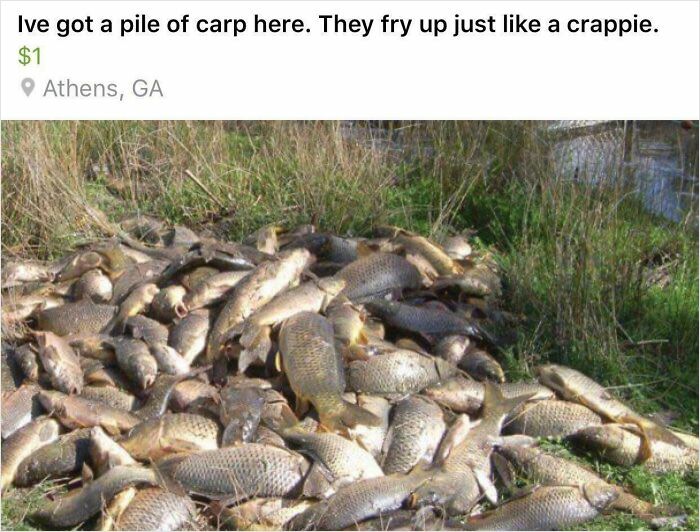The 65 Weirdest Garage Sale Finds That’ll Make You Do A Double Take