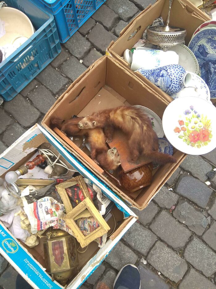 The 65 Weirdest Garage Sale Finds That’ll Make You Do A Double Take