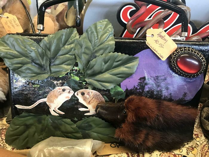 The 65 Weirdest Garage Sale Finds That’ll Make You Do A Double Take