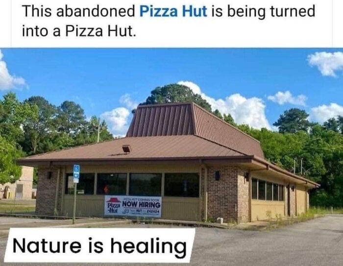 Wait, They Actually Ranked These Hilarious Memes?