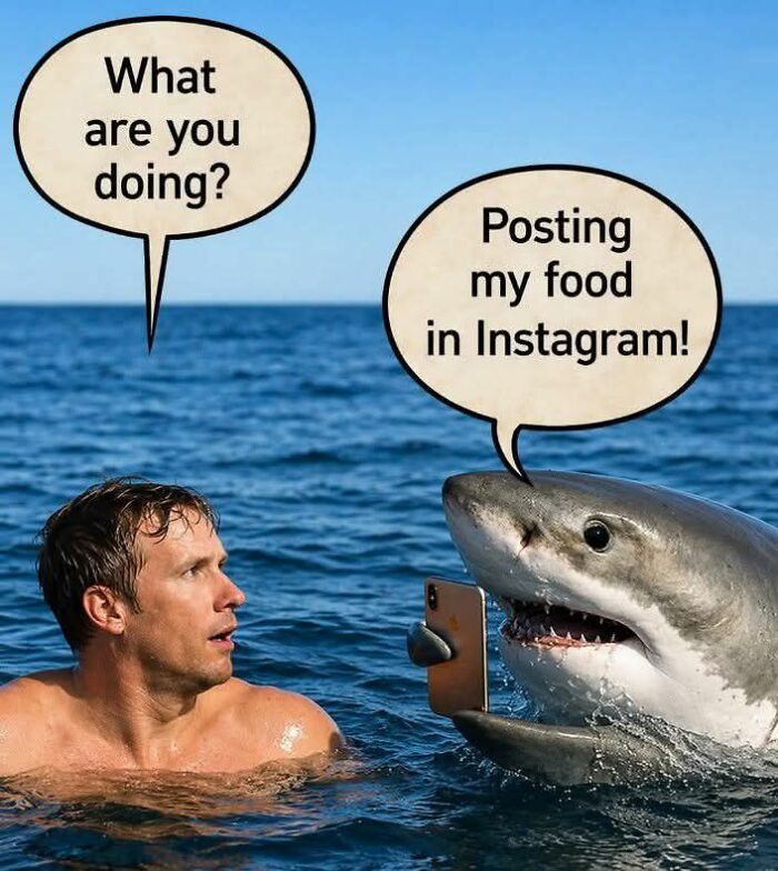 Wait, They Actually Ranked These Hilarious Memes?