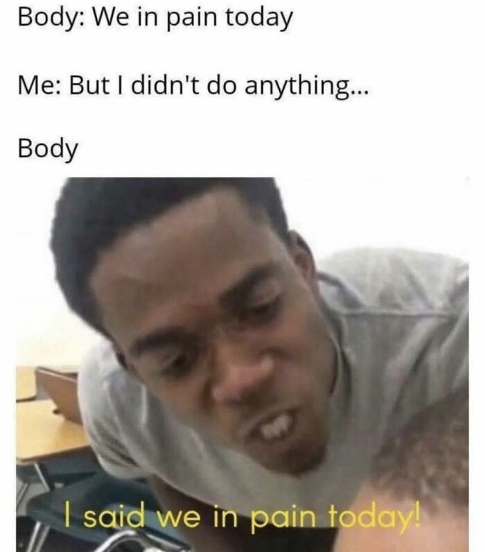 Wait, They Actually Ranked These Hilarious Memes?