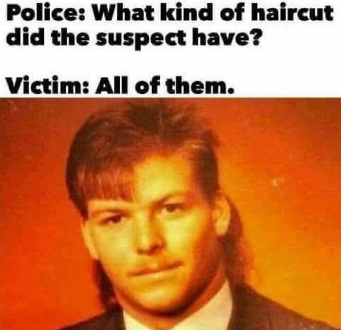 Wait, They Actually Ranked These Hilarious Memes?