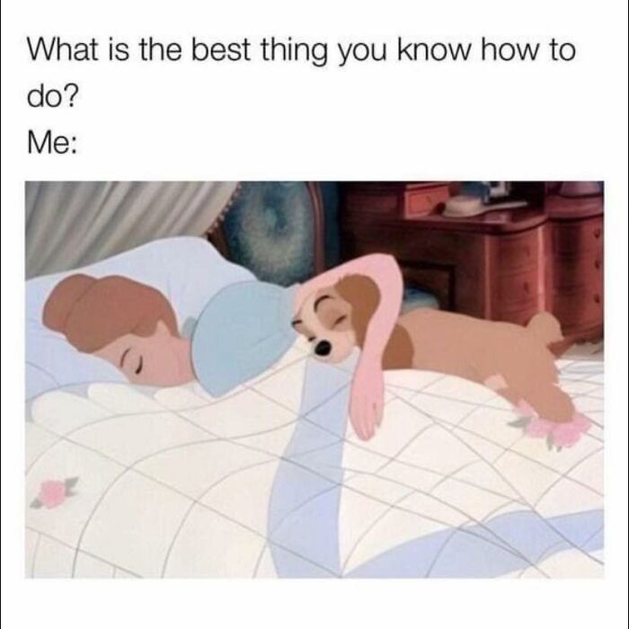 Wait, They Actually Ranked These Hilarious Memes?
