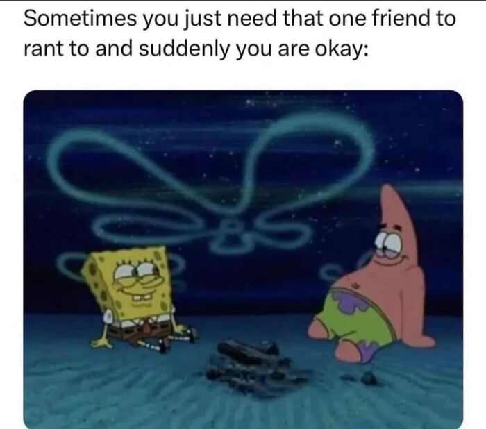 Wait, They Actually Ranked These Hilarious Memes?