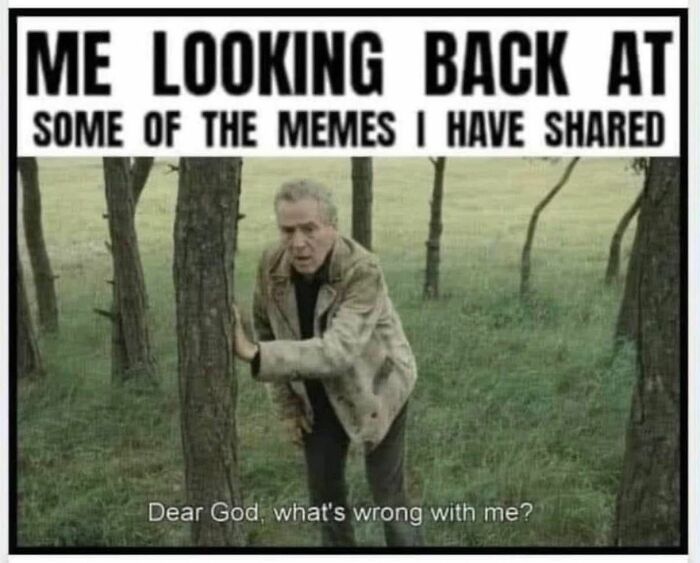 Wait, They Actually Ranked These Hilarious Memes?